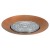 6" Recessed lighting fresnel lens bronze shower trim