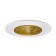2" Recessed lighting trim adjustable 35 degree tilt gold reflector white trim