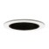 4" Low voltage recessed lighting 50 degree adjustable black reflector white trim