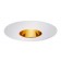 6" Recessed lighting Par 20 designer specular gold reflector white trim