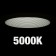5000K Cool White